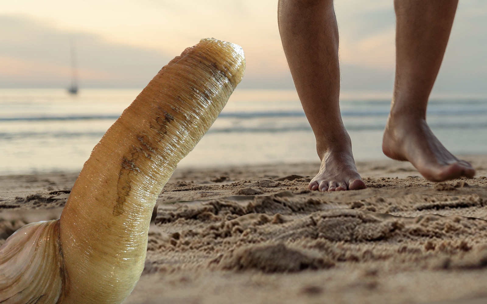 The Needling Area Geoduck Wonders How Naked Man Breathes Throu Newsie