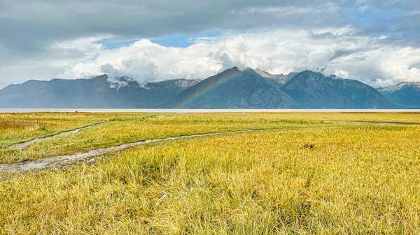Ruts stretch across wetlands in Alaska as a rainbow is cast across a mountain