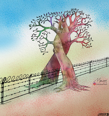 Cartoon showing two trees, each on the other side of a barb wire fence. They have grown over the fence and have become intertwined.