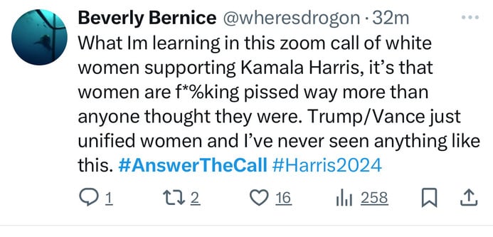 Beverly Bernice @wheresdrogon •32m
What Im learning in this zoom call of white
women supporting Kamala Harris, it's that
women are f*%king pissed way more than
anyone thought they were. Trump/Vance just
unified women and l've never seen anything like
this. #AnswerTheCall #Harris2024
172
• 16