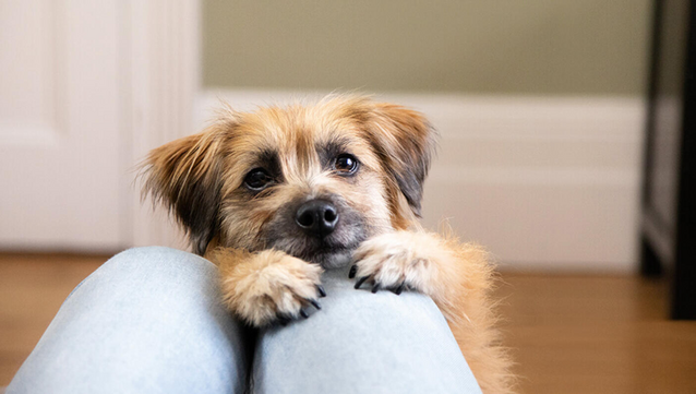 Image of a fluffy puppy begging for attention.

Uh-oh! It's that time again—end of the month, mastodon admins everywhere are donning our best puppy-dog eyes to ask for your support. 

You’ve been scrolling, following, & connecting like a pro, but keeping Newsie.social running? Well, that's not exactly free. 

For just $2 a month (less than a latte!), you can help keep this corner of the web independent, ad-free, & thriving!

Donate links: 

🔗 Open Collective: https://opencollective.com/newsiesocial#category-CONTRIBUTE

🔗 PayPal: https://www.paypal.com/donate/?hosted_button_id=BCV5VZ5HRMB3U