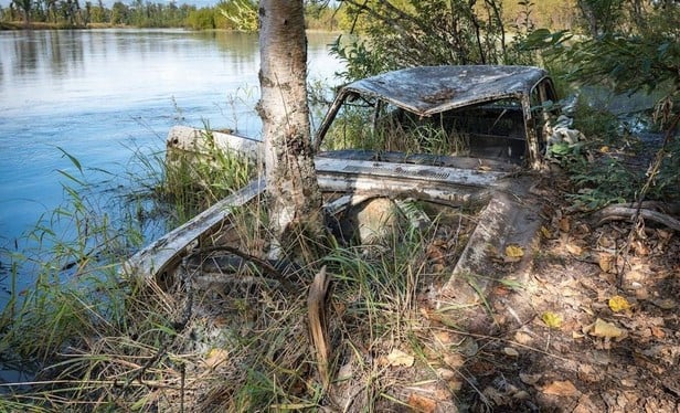 Old cars used to prevent erosion of the bank of the Knik River near Eklutna, Alaska have now become part the root system of the riverbank, with a mature birch tree growing out from under the vehicle's missing hood 