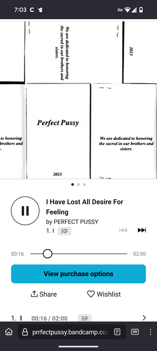 Prrfectpussy.bandcamp.com

Screenshot shows a song called 